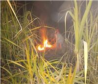 صور| الحماية المدنية تسيطر على حريق بزراعات القصب بقنا