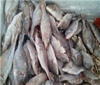 إعدام 164 كيلو أسماك ودواجن ولحوم مجهولة المصدر بالنزهة 