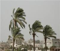 انخفاض حاد في درجات الحرارة ورياح شديدة في قرى المنيا