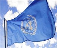 الأمم المتحدة تعلن ترشح 24 شخصية للمجلس الرئاسي الليبي و21 لرئيس الوزراء