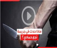 فيديوجراف| مقتل معلم أزهري وتمزيق جسده.. ماذا حدث في جريمة نجع حمادي؟