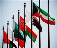 نايف الحجرف: «التعاون الخليجي» يدعم جهود مصر في مواجهة الإرهاب