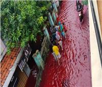 «بحر من الدم» يجتاح قرية إندونيسية | صور