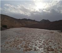 «الري»: حصاد 500 ألف متر مكعب من مياه السيول في جنوب سيناء
