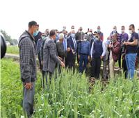 وزير الزراعة يتفقد حقول القمح ويتابع مراكز تجميع الألبان بالفيوم| صور
