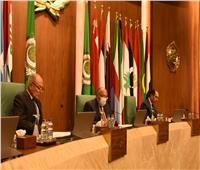 وزراء الخارجية العرب يرحبون بجهود مصر في إتمام المصالحة الفلسطينية