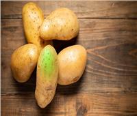 احذر.. بقع البطاطس الأخضر والبنفسجى «سامة»