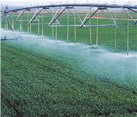 خبراء الزراعة: الري الحديث يوفر المياه المهدرة بنسبة 80%