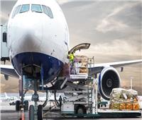 «إياتا» يعلن الأداء الإقليمي لحركة الشحن الجوي خلال عام 2020