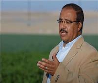 «مستقبل مصر»: زرعنا 130 ألف فدان في المرحلة الأولى 