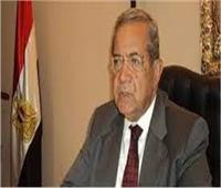 مساعد وزير الخارجية الأسبق يكشف أهمية الجولة الثالثة للمشاورات بين مصر والسويد