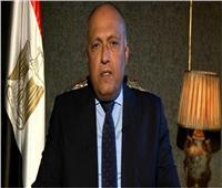 وزير الخارجية: مصر عندما تلتزم بوثيقة تحترمها
