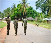 موزمبيق: مقتل عدد من القيادات الإرهابية في إقليم كابو ديلجادو شمال البلاد