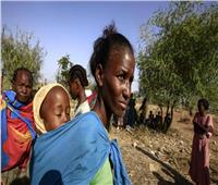 الأمم المتحدة تحذر من تفاقم مشكلة الجوع في إقليم تيجراى الإثيوبي