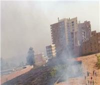 رجال الإطفاء يخمدون حريق بقش القصب في نجع حمادي | صور