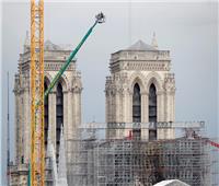 فرنسا تبحث عن أشجار البلوط لترميم كاتدرائية نوتردام