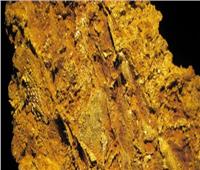 «الثروة المعدنية»: مد أجل إغلاق مزايدة البحث عن الذهب لـ15 مايو المقبل