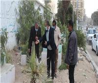 رئيس مدينة المنيا: يتفقد أعمال الرصف والتجميل بحي غرب ويوجه برفع الاشغالات