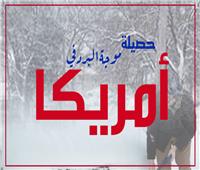 إنفوجراف| حصيلة موجة البرد في أمريكا
