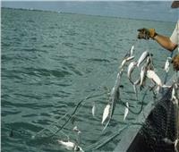 محافظ كفر الشيخ يكشف موعد عودة حركة الصيد بـ«البرلس»