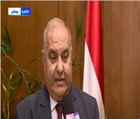 رئيس المحكمة الدستورية: مصر بذلت جهودا للحد من آثار جائحة كورونا على المصريين