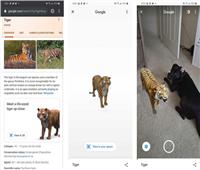 كيف تشاهد «حيوانات جوجل» ثلاثية الأبعاد؟
