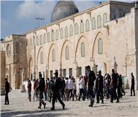 89 مستوطنًا إسرائيليًا يقتحمون المسجد الأقصى