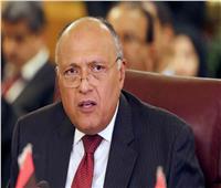 سامح شكري يلقي كلمة مصر في افتتاح أعمال الدورة الـ155 لوزراء الخارجية العرب