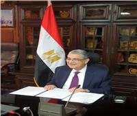 وزير الكهرباء يستضيف مجلس انتقال الطاقة.. أول حوار على مستوى العمل مع مصر