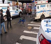 شرطة نيويورك تستخدم روبوتًا رباعي الأرجل للإنقاذ | صور 