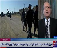 عبد الحليم قنديل: السلاح بات بيد كل مواطن عراقي |فيديو