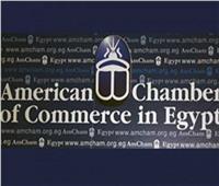 غرفة التجارة الأمريكية: لدينا أجندة لتشجيع الاستثمار في الطاقة بمصر