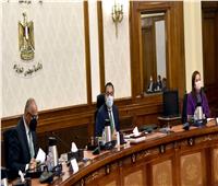 أعضاء غرفة التجارة الأمريكية يُشيدون بإجراءات مصر في تنفيذ الإصلاح الاقتصادي