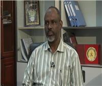مدير خزان الروصيرص السوداني يحذر من الآثار السلبية لسد النهضة