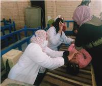 لليوم الثاني.. حملة التطعيم ضد شلل الأطفال تواصل عملها في المنيا