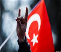 خبير أمريكي يحذر: تحالف أردوغان مع «الذئاب الرمادية» خلطة سامة