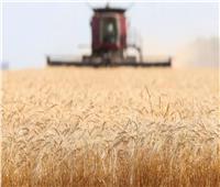 وزير التموين: توقعات باستلام 4 ملايين طن من المزارعين خلال موسم القمح