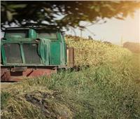 رحلة من القرن الـ19.. قطار «الديكوفيل» المحمل بالقصب يمر ببيوت المنيا| صور 