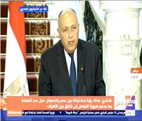 وزير الخارجية: توسيع التعاون الاقتصادي والأمني والثقافي مع السودان