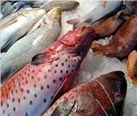 أسعار الأسماك في سوق العبور اليوم ٣ مارس