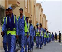 بسبب ضحايا العمال الأجانب.. هولندا تقاطع قطر تجاريا | فيديو