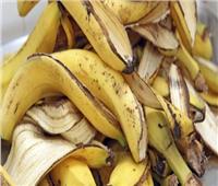 «تغذية الشعر وتنظيف الأسنان».. فوائد كبيرة من تجفيف قشر الموز