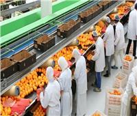 «بكرة أجمل».. ارتفاع صادرات مصر الزراعية إلى 821 مليون دولار