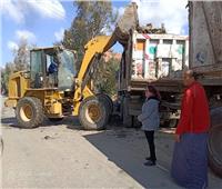 حملات نظافة مكثفة لحل مشاكل القمامة فى قرى «المنوفية»