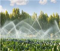 الحكومة تنفي بيع مياه الري للمزارعين