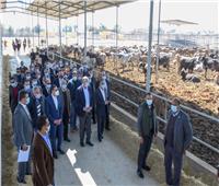 وزير الزراعة يفتتح مشروعا بطاقة 18 ألف رأس ماشية في الإسكندرية 