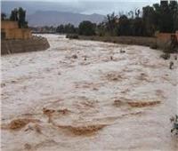 مصرع 6 أشخاص بينهم نساء وأطفال في فيضانات غرب الجزائر.. فيديو
