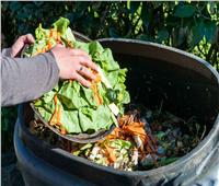 تقرير أممي: 900 مليون طن من الطعام تلقى في صناديق القمامة سنويا