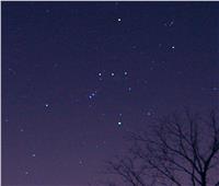 لعشاق الفلك| «نجوم الجوزاء» تنحرف غربا في السماء