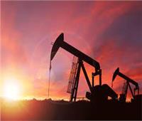بلومبرج: تراجع أسعار البترول عالميا.. لهذا السبب 